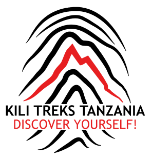 logo-loading
