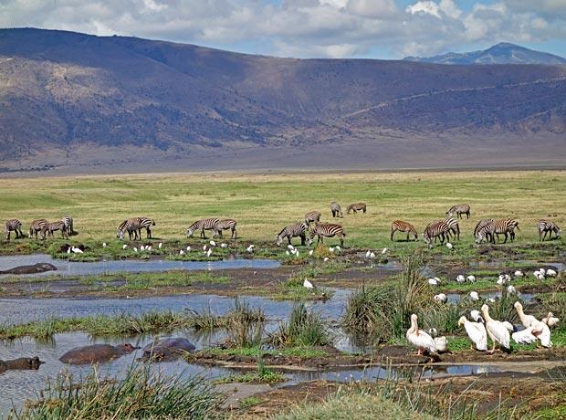 2 Day Tanzania Safari Tarangire and Ngorongoro Crater