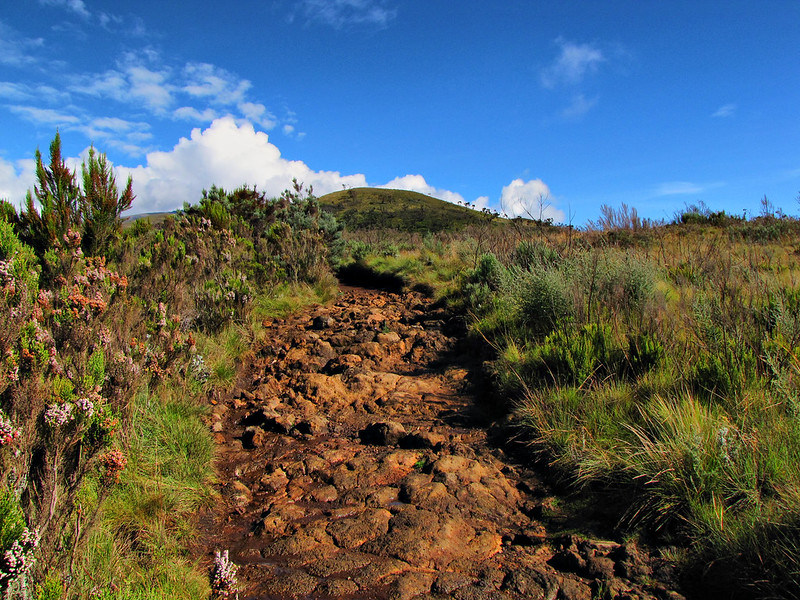 Acclimatization Hike → Zebra Rocks