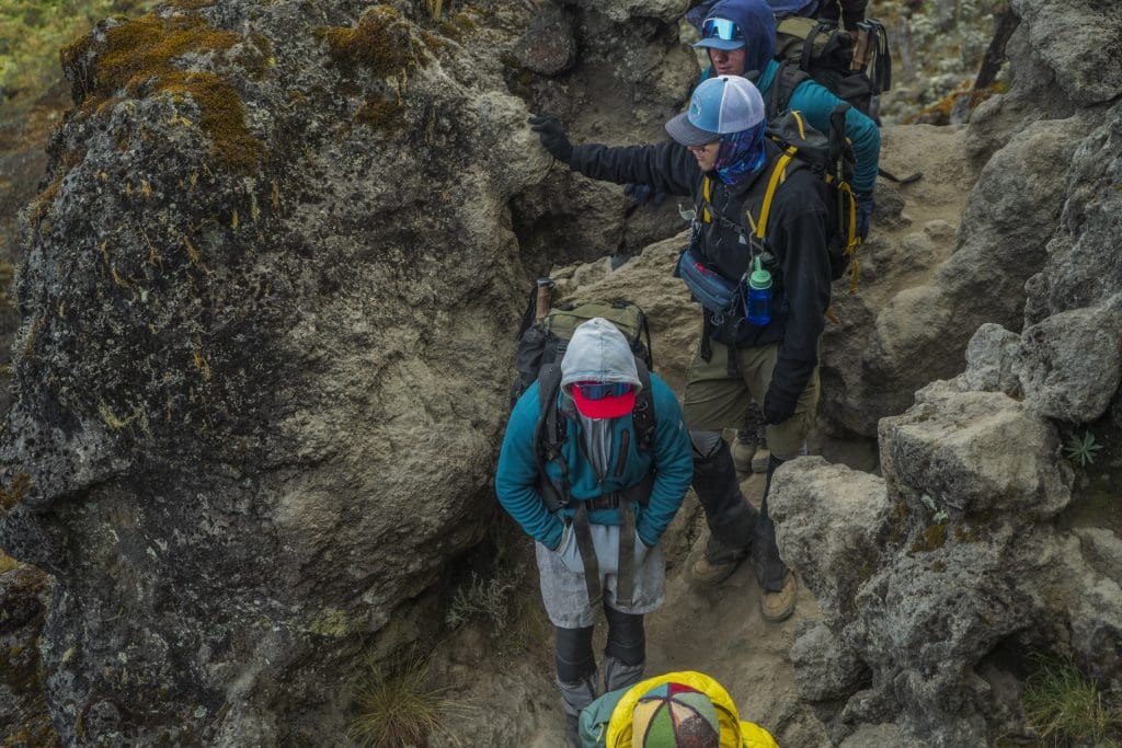 Conquering the Barranco Wall: A Trekker's Guide to Kilimanjaro's Most Famous Scramble