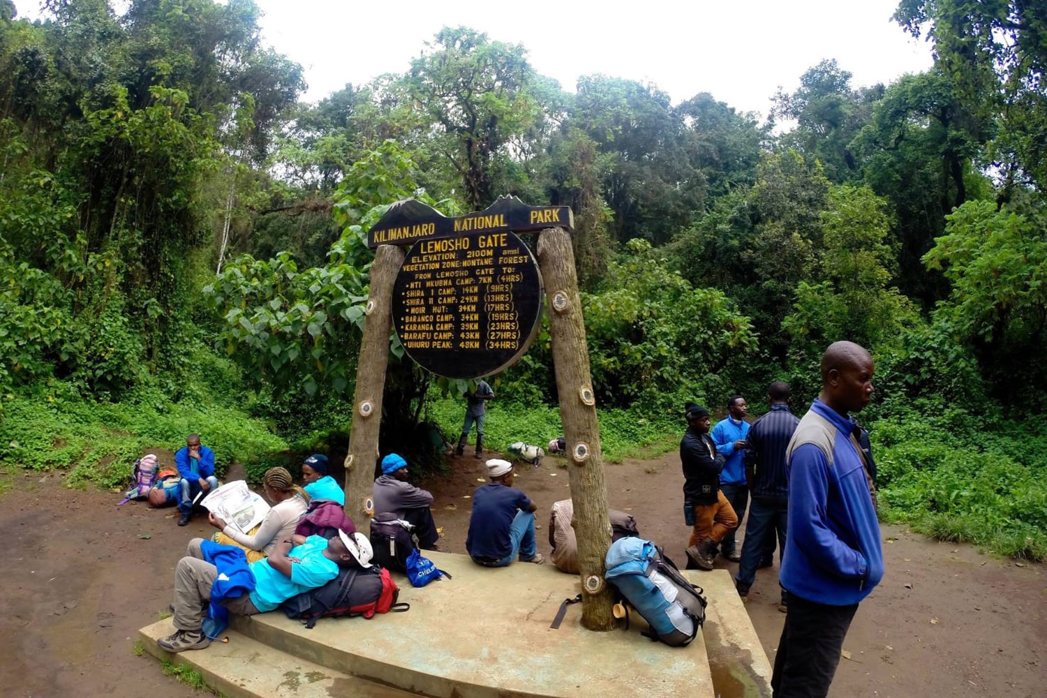 Lemosho Gate and Trailhead → Forest Camp