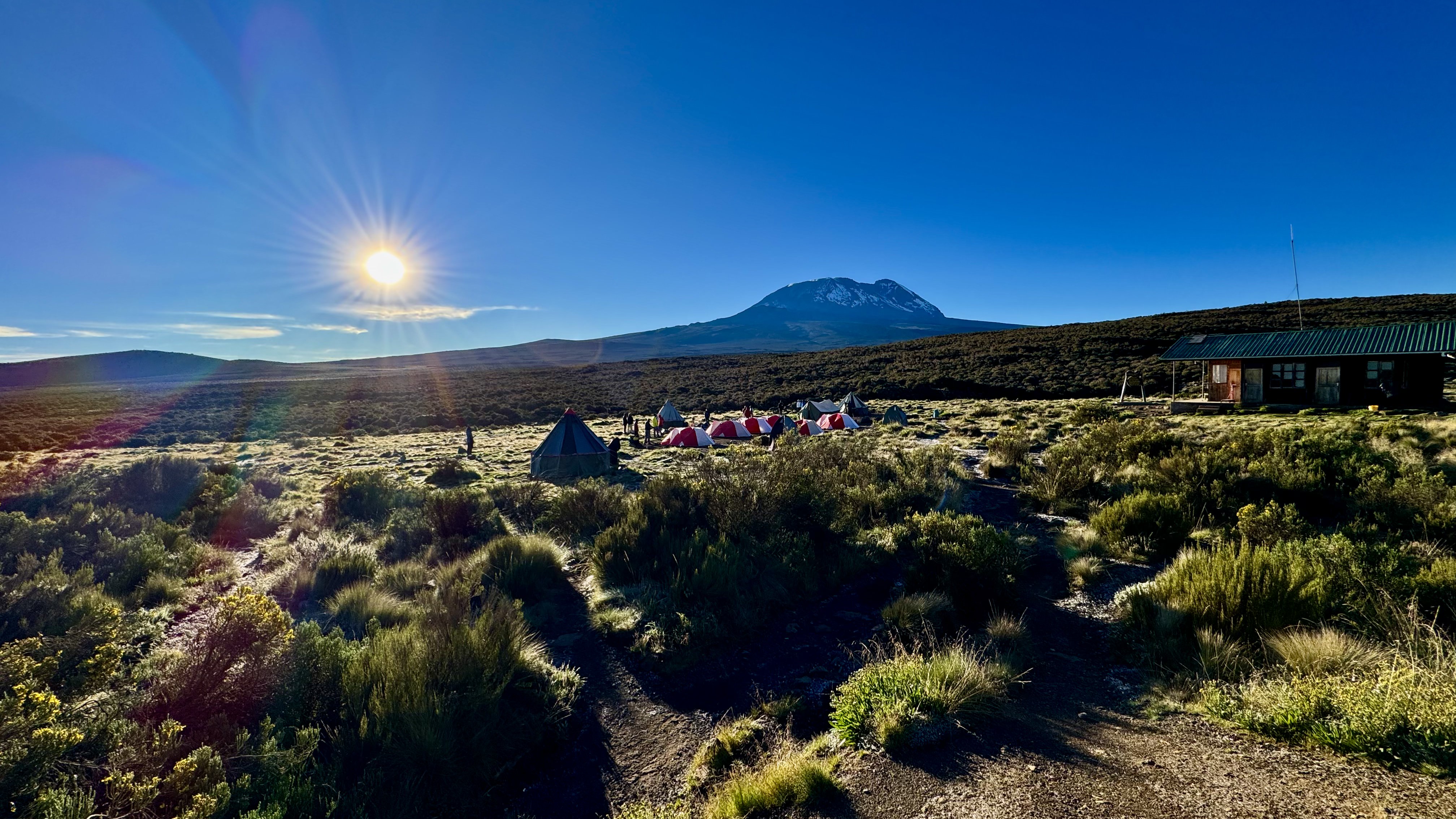 Lemosho route: day-by-day guide