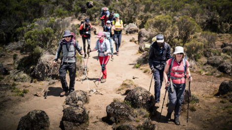 Machame Camp → Shira Cave Camp