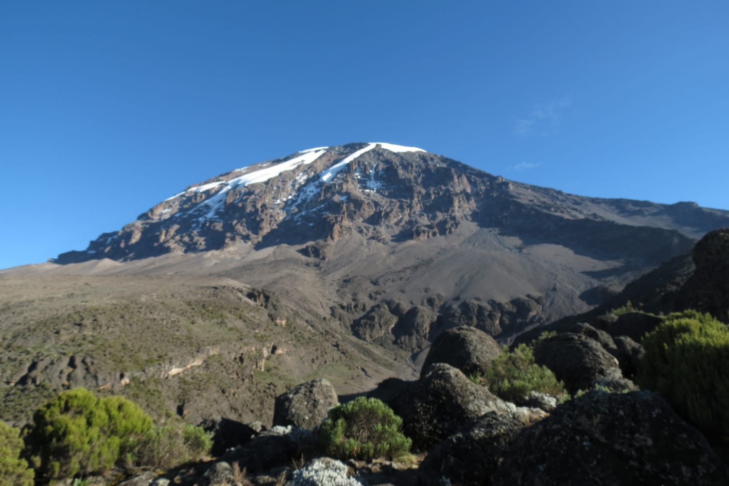 Barafu Camp → Uhuru Peak → Mweka Camp (Summit Day)