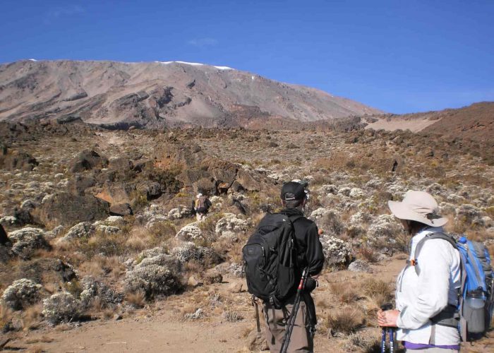 Trekkers on the trail leading to the peak of Mt. Kilimanjaro with Kili Treks Tanzania