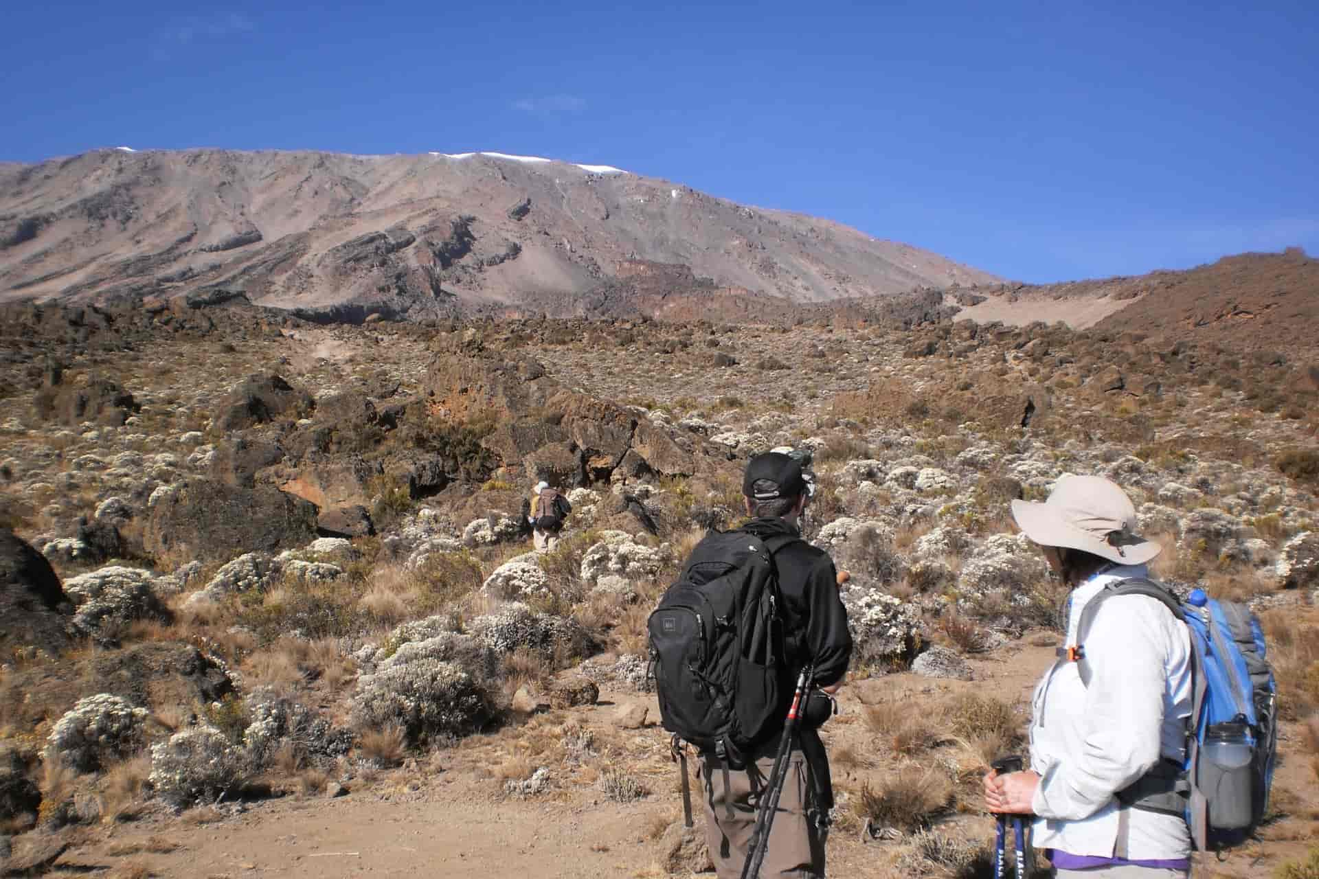 Trekkers on the trail leading to the peak of Mt. Kilimanjaro with Kili Treks Tanzania