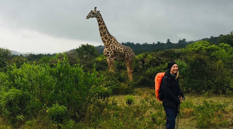 Trekker with a giraffe on the 1-day Mt. Meru trek to the Tululusia Waterfall