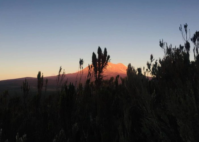 Surrounding mountain views at sunrise on the Kilimanjaro Shira Route Day Hike